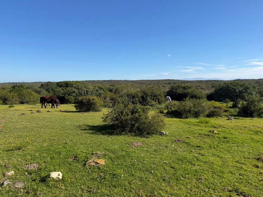 0 Bedroom Property for Sale in Riversdale Rural Western Cape